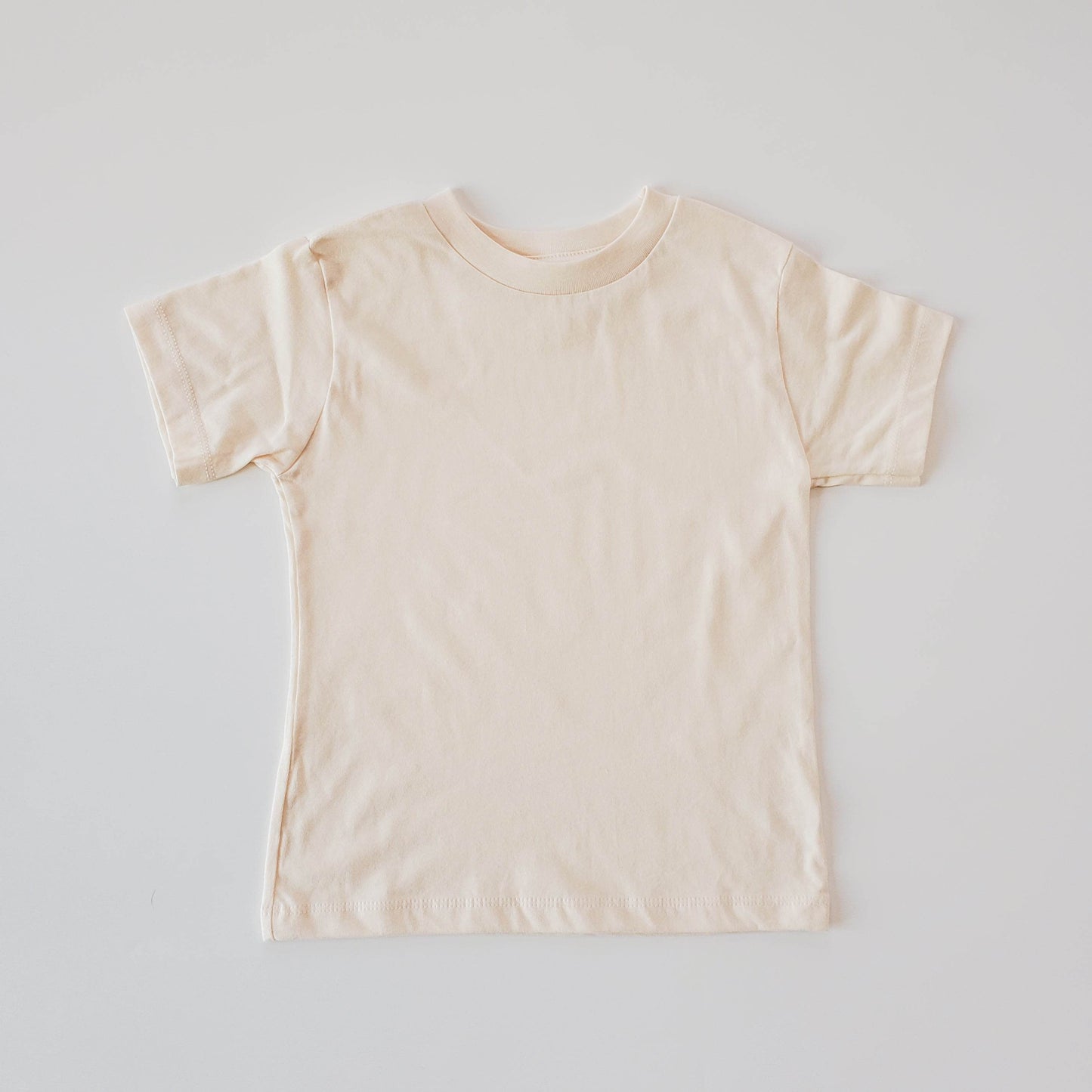 Homeschool T-Shirt featheredbreaths