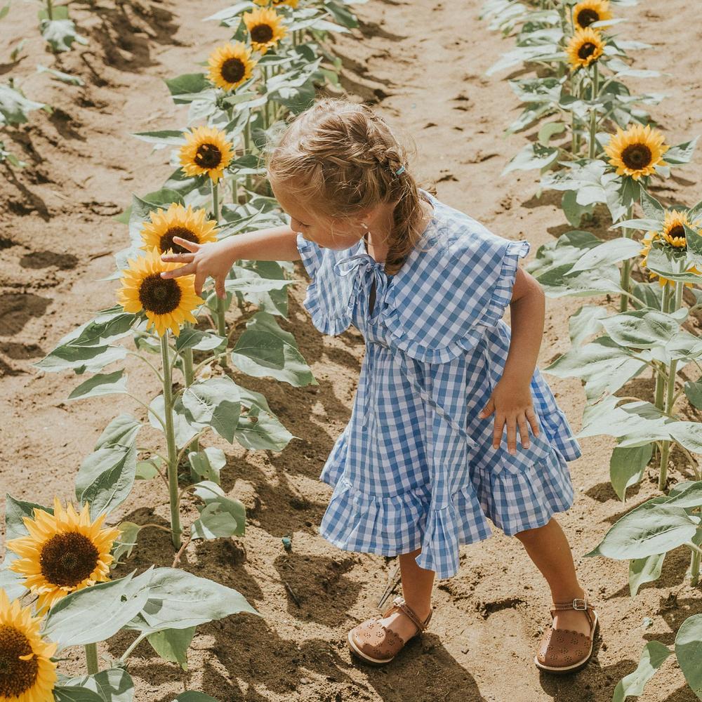 Gingham Dress Collection